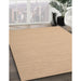 Machine Washable Contemporary Sand Brown Rug in a Family Room, wshcon724