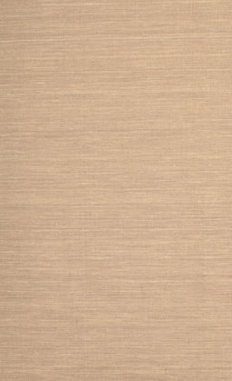 Machine Washable Contemporary Sand Brown Rug, wshcon724