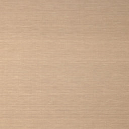 Square Contemporary Sandy Brown Solid Rug, con725