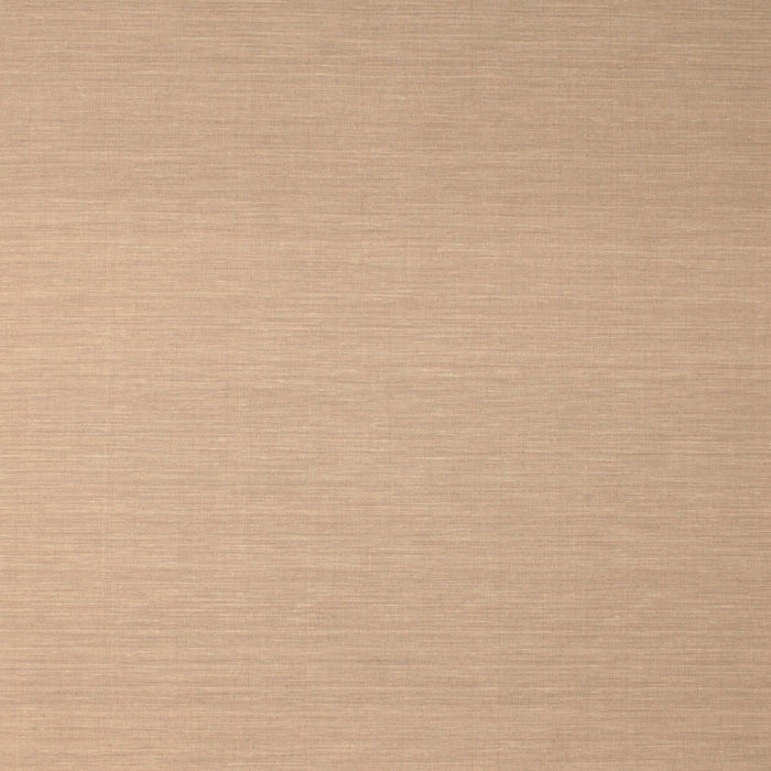 Square Contemporary Sandy Brown Solid Rug, con725