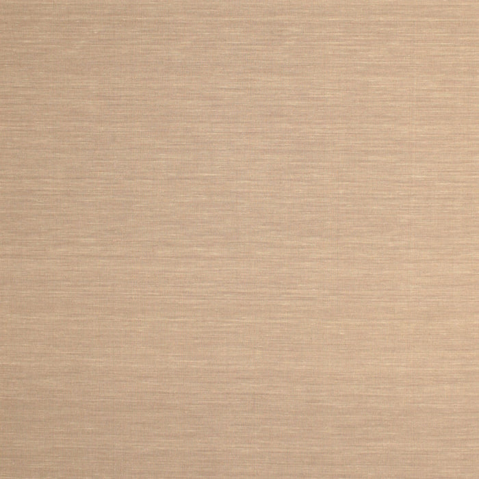 Contemporary Sandy Brown Solid Rug, con725