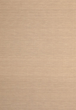 Machine Washable Contemporary Sandy Brown Rug, wshcon725