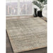 Machine Washable Contemporary Tan Brown Rug in a Family Room, wshcon730