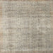 Square Contemporary Tan Brown Modern Rug, con730