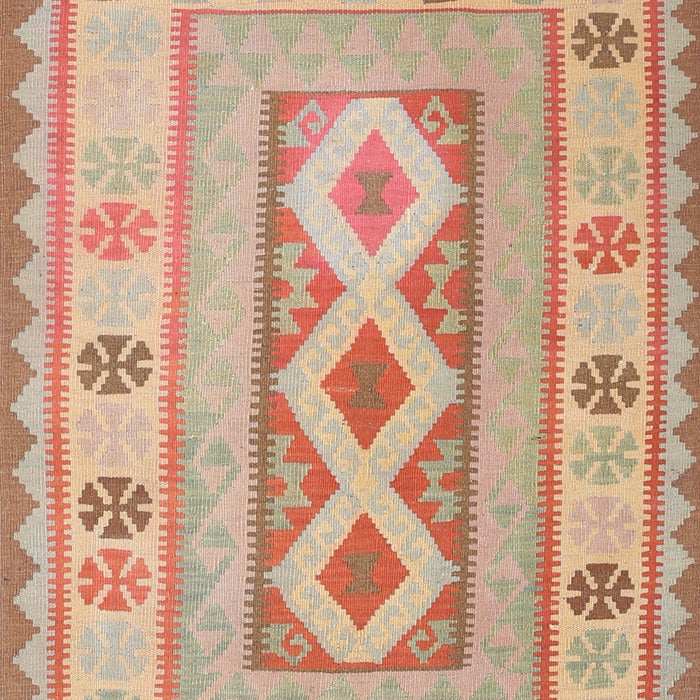 Contemporary Brown Oriental Rug, con738