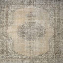 Square Contemporary Khaki Green Modern Rug, con750
