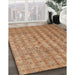 Machine Washable Contemporary Peru Brown Rug in a Family Room, wshcon761