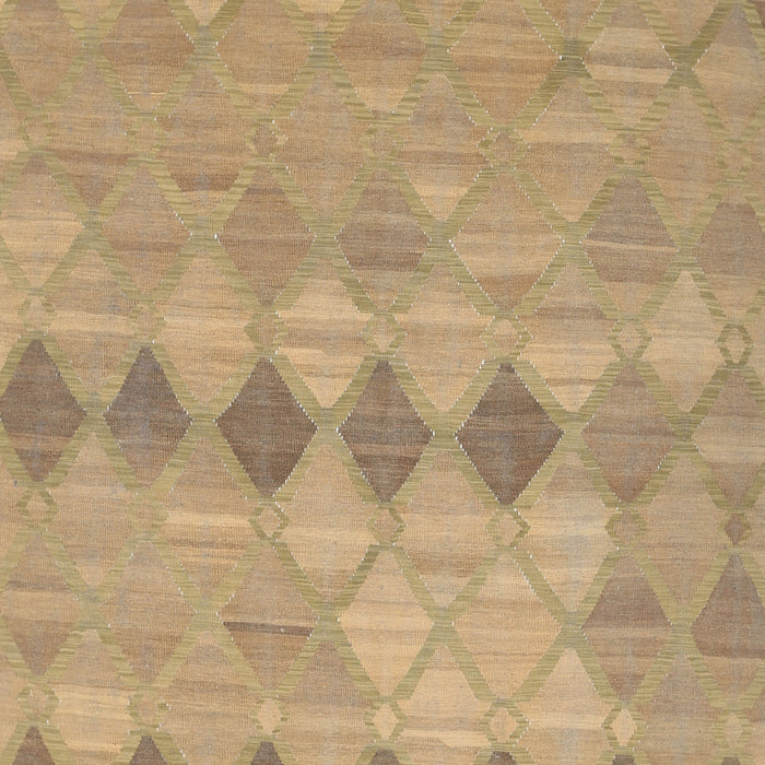 Contemporary Sand Brown Southwestern Rug, con766