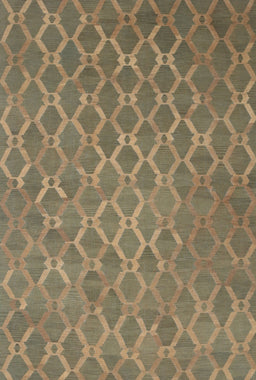 Contemporary Brown Modern Rug, con769