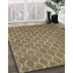 Machine Washable Contemporary Brown Rug in a Family Room, wshcon769
