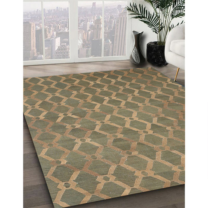 Machine Washable Contemporary Brown Rug in a Family Room, wshcon769