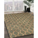 Machine Washable Contemporary Brown Rug in a Family Room, wshcon769
