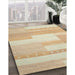 Contemporary Brown Modern Rug in Family Room, con788