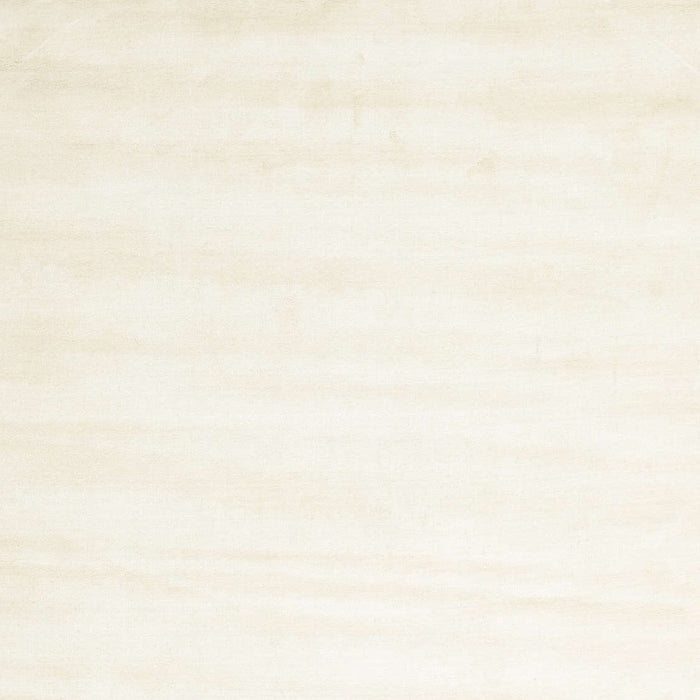 Contemporary Blonde Beige Solid Rug, con7