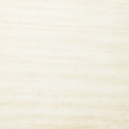 Sideview of Machine Washable Contemporary Blonde Beige Rug, wshcon7