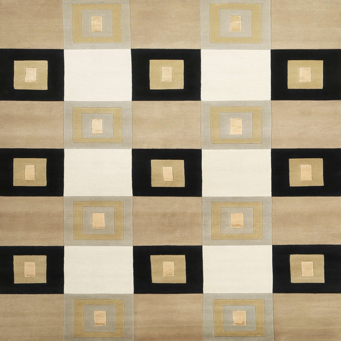 Square Contemporary Brown Checkered Rug, con805