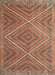 Contemporary Orange Brown Southwestern Rug, con855