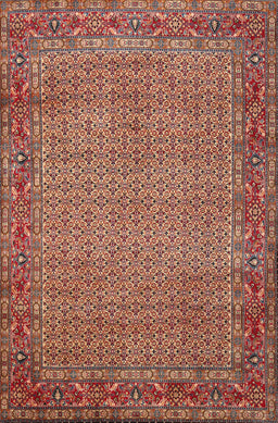 Contemporary Tangerine Pink Modern Rug, con865