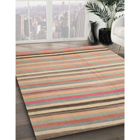 Contemporary Copper Red Pink Modern Rug, con881