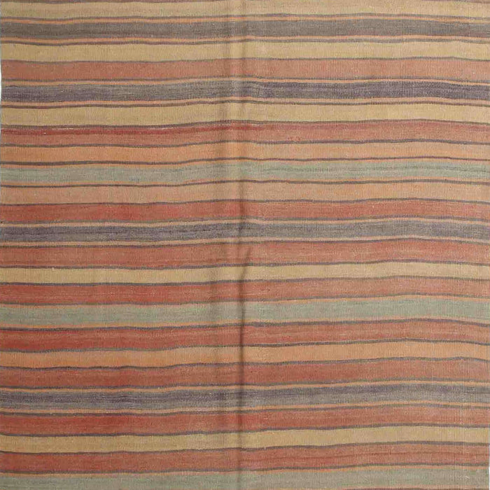 Contemporary Brown Modern Rug, con883