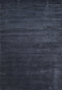 Machine Washable Contemporary Dark Slate Blue Rug, wshcon92
