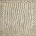 Square Contemporary Brown Southwestern Rug, con977