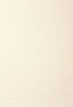 Contemporary Beige Solid Rug, con983