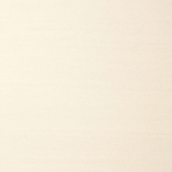 Contemporary Beige Solid Rug, con983