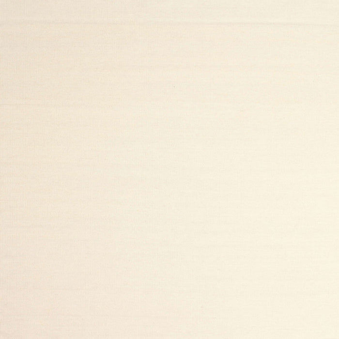 Square Contemporary Beige Solid Rug, con983