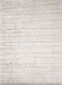 Machine Washable Contemporary Pale Silver Gray Rug, wshcon987