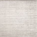 Sideview of Machine Washable Contemporary Pale Silver Gray Rug, wshcon987