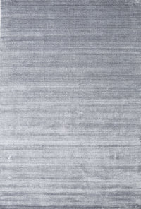 Machine Washable Contemporary Silver Gray Rug, wshcon989