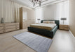 Machine Washable Contemporary Silver Gray Rug in a Bedroom, wshcon989