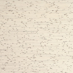 Sideview of Machine Washable Contemporary Moccasin Beige Rug, wshcon995