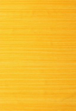 Contemporary Deep Yellow Modern Rug, con999