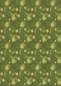 Machine Washable Transitional Pistachio Green Rug, wshpat1brn