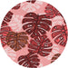 Square Machine Washable Transitional Light Coral Pink Rug in a Living Room, wshpat1015rd