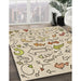 Patterned Vanilla Gold Rug in Family Room, pat1023brn