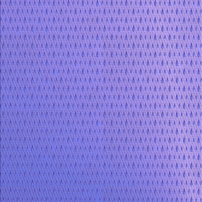 Machine Washable Transitional Purple Mimosa Purple Rug, wshpat1024pur