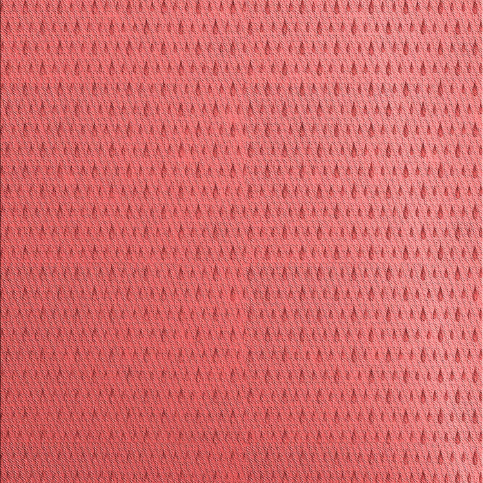 Machine Washable Transitional Red Rug, wshpat1024rd