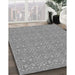 Machine Washable Transitional Silver Gray Rug in a Family Room, wshpat1025gry