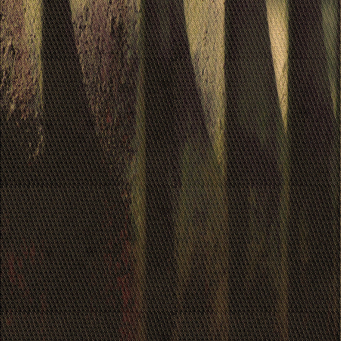 Machine Washable Transitional Midnight Gray Rug, wshpat1026brn