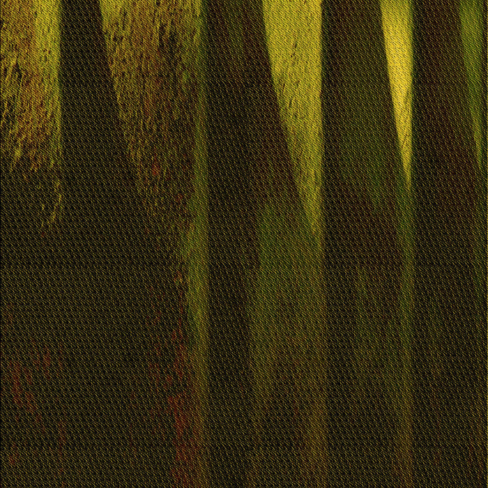 Patterned Dark Bronze Brown Rug, pat1026yw