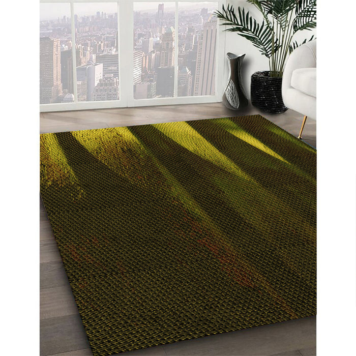 Machine Washable Transitional Dark Bronze Brown Rug in a Family Room, wshpat1026yw