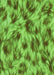 Machine Washable Transitional Emerald Green Rug, wshpat103grn