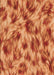 Machine Washable Transitional Orange Rug, wshpat103org