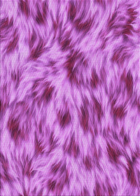 Machine Washable Transitional Purple Rug, wshpat103pur