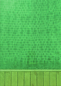 Machine Washable Transitional Neon Green Rug, wshpat1030grn