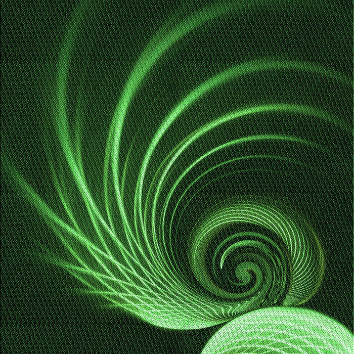 Machine Washable Transitional Black Rug, wshpat1031grn