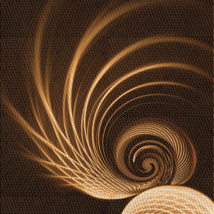 Patterned Black Brown Rug, pat1031org